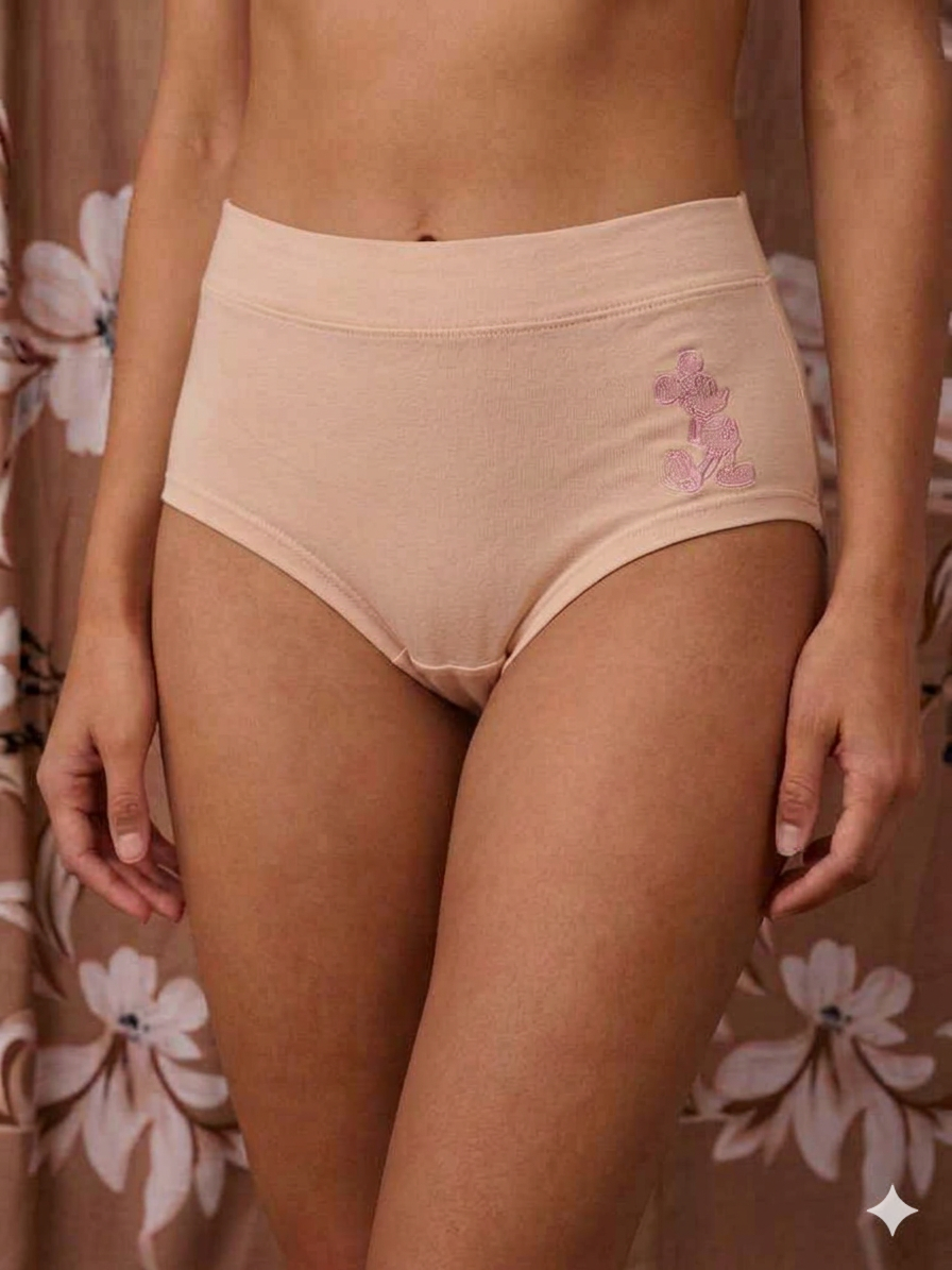 Ashel’s ComfortLite Panty