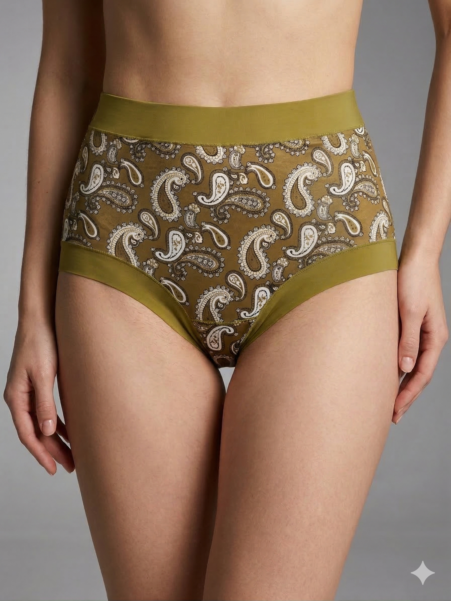 Ashel's satin touch soft panty